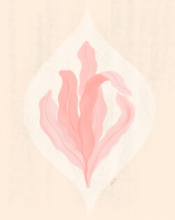 <p>Show full collection <a href="https://littleom.de/catalog/collections/c04-ogee-flowers/" target="_blank" rel="noopener">OGEE FLOWERS</a></p>