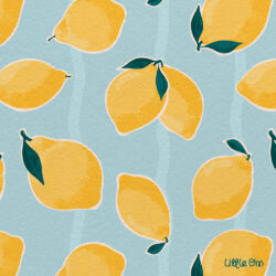 <p>Show full collection <a href="https://littleom.de/catalog/collections/c05b-limoncelli-sunshine/" target="_blank" rel="noopener">LIMONCELLI AND SUNSHINE</a></p>