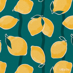 <p>Show full collection <a href="https://littleom.de/catalog/collections/c05b-limoncelli-sunshine/" target="_blank" rel="noopener">LIMONCELLI AND SUNSHINE</a></p>