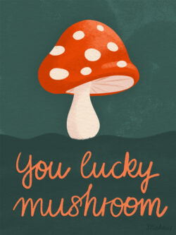 <p>Show full collection <a href="https://littleom.de/catalog/collections/c12-oh-happy-day/" target="_blank" rel="noopener">OH HAPPY DAY</a></p>