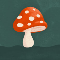 <p>Show full collection <a href="https://littleom.de/catalog/collections/c12-oh-happy-day/" target="_blank" rel="noopener">OH HAPPY DAY</a></p>