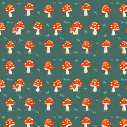 <p>Show full collection <a href="https://littleom.de/catalog/collections/c12-oh-happy-day/" target="_blank" rel="noopener">OH HAPPY DAY</a></p>