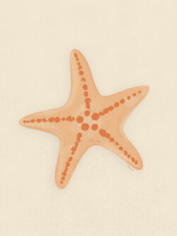 <p>Show full collection <a href="https://littleom.de/catalog/collections/c22-beach-vibes/" target="_blank" rel="noopener">BEACH VIBES</a></p>