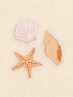 <p>Show full collection <a href="https://littleom.de/catalog/collections/c22-beach-vibes/" target="_blank" rel="noopener">BEACH VIBES</a></p>