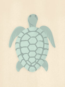 <p>Show full collection <a href="https://littleom.de/catalog/collections/c22-beach-vibes/" target="_blank" rel="noopener">BEACH VIBES</a></p>