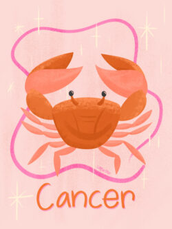 <p>Show full collection <a href="https://littleom.de/catalog/collections/c31-celestial/" target="_blank" rel="noopener">CELESTIAL</a></p>