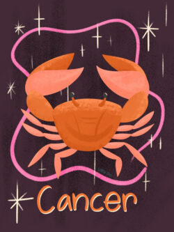 <p>Show full collection <a href="https://littleom.de/catalog/collections/c31-celestial/" target="_blank" rel="noopener">CELESTIAL</a></p>