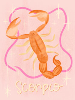 <p>Show full collection <a href="https://littleom.de/catalog/collections/c31-celestial/" target="_blank" rel="noopener">CELESTIAL</a></p>