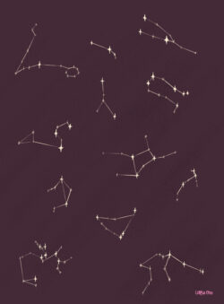 <p>Show full collection <a href="https://littleom.de/catalog/collections/c31-celestial/" target="_blank" rel="noopener">CELESTIAL</a></p>