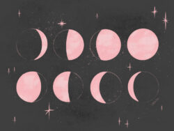 <p>Show full collection <a href="https://littleom.de/catalog/collections/c31-celestial/" target="_blank" rel="noopener">CELESTIAL</a></p>