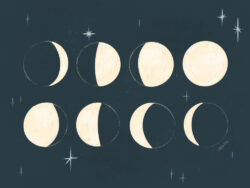 <p>Show full collection <a href="https://littleom.de/catalog/collections/c31-celestial/" target="_blank" rel="noopener">CELESTIAL</a></p>