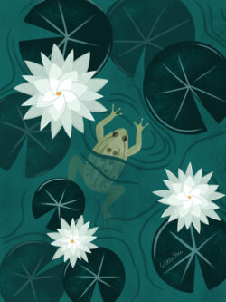 <p>Show full collection <a href="https://littleom.de/catalog/collections/d01-midnight-pond/" target="_blank" rel="noopener">MIDNIGHT POND</a></p>