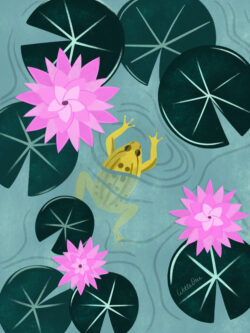 <p>Show full collection <a href="https://littleom.de/catalog/collections/d01-midnight-pond/" target="_blank" rel="noopener">MIDNIGHT POND</a></p>