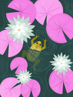 <p>Show full collection <a href="https://littleom.de/catalog/collections/d01-midnight-pond/" target="_blank" rel="noopener">MIDNIGHT POND</a></p>