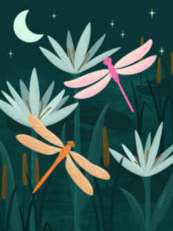 <p>Show full collection <a href="https://littleom.de/catalog/collections/d01-midnight-pond/" target="_blank" rel="noopener">MIDNIGHT POND</a></p>