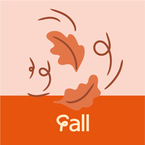 show fall designs