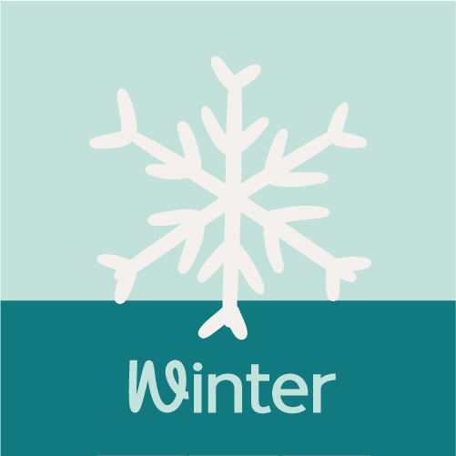 show winter designs